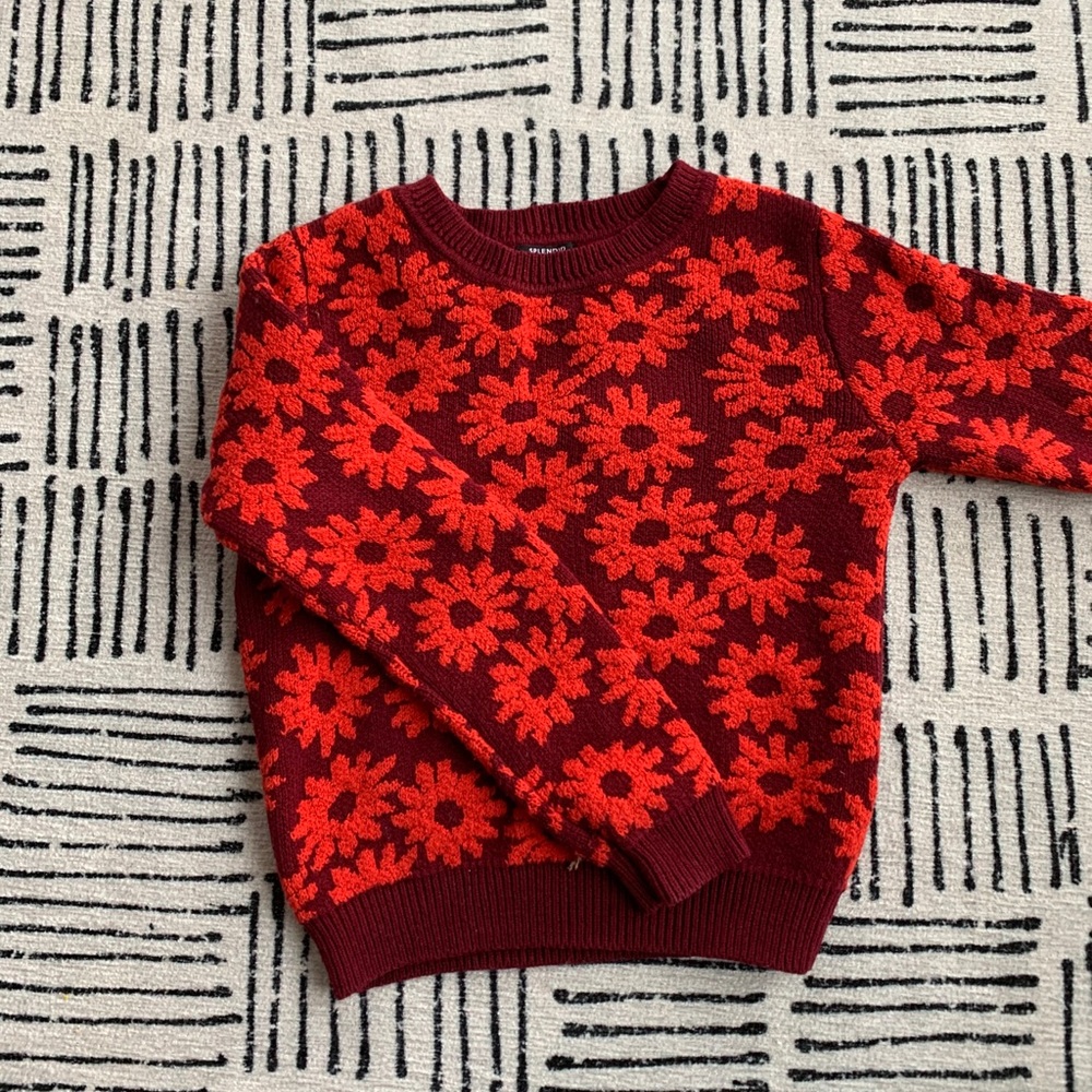 Gorgeous splendid sweater